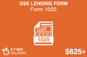 GSE LENDING FORM Form 1025